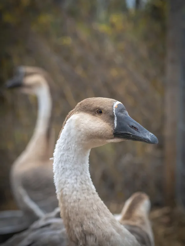 9 października 2022