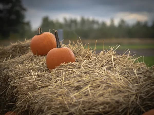 9 października 2022