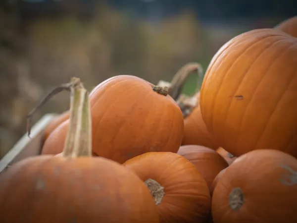 9 października 2022