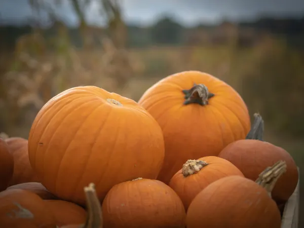 9 października 2022