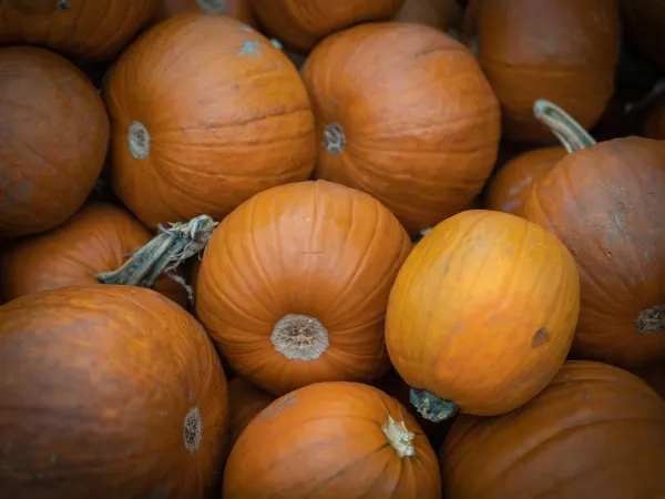 9 października 2022