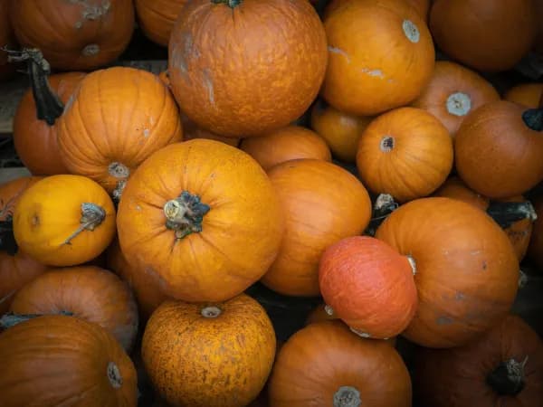 9 października 2022