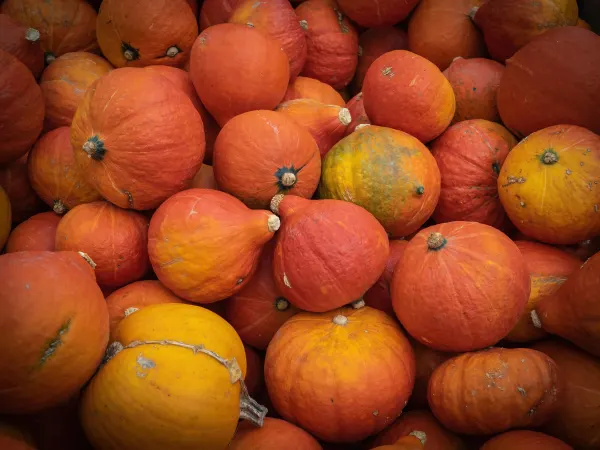 9 października 2022