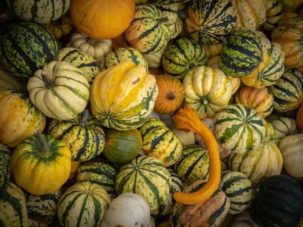 9 października 2022