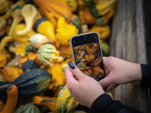 9 października 2022