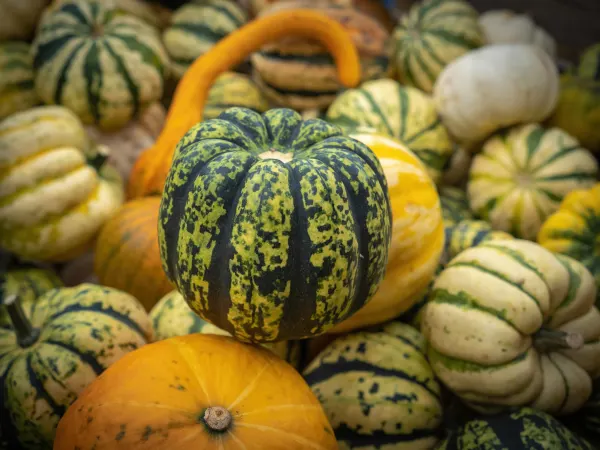 9 października 2022