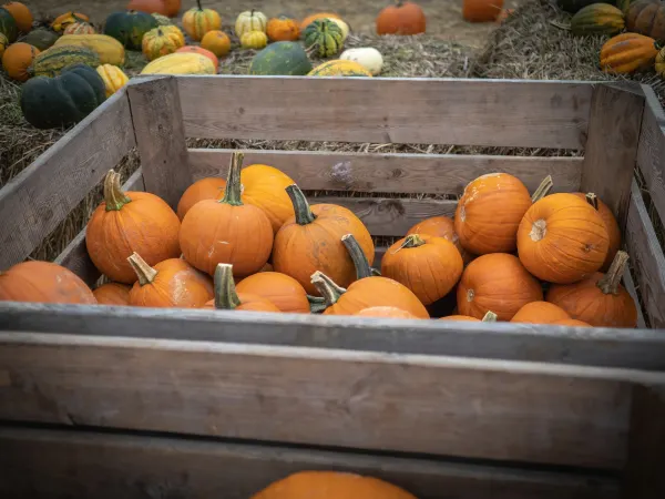 9 października 2022