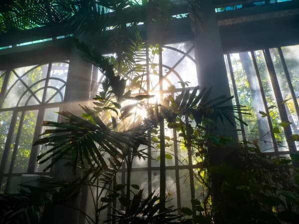 Sycylia, 3 stycznia 2024